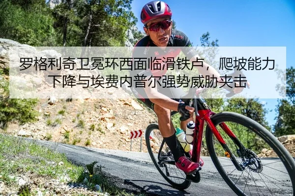luo-ge-li-qi-wei-mian-huan-xi-mian-lin-hua-tie-lu-pa-po-neng-li-xia-jiang-yu-ai-fei-nei-pu-er-qiang-shi-wei-xie-jia-ji-2-844.jpg