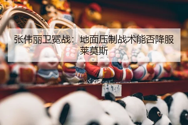 zhang-wei-li-wei-mian-zhan-di-mian-ya-zhi-zhan-shu-neng-fou-xiang-fu-lai-mo-si-2-178.jpg